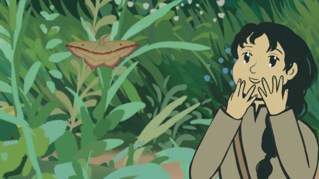 Your Ultimate Guide to Downloading This Enchanting Moth-Watching Game
