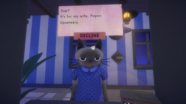Everything You Need to Know About Cat Mail Co. Download Guide