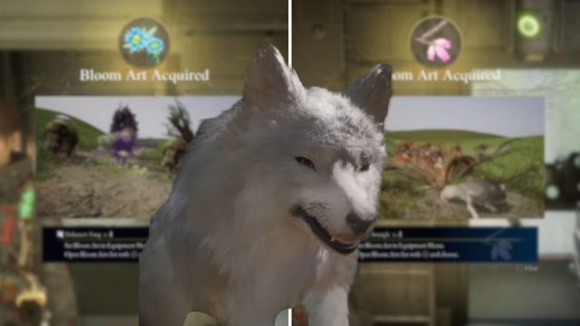 Unlocking the Power of Bloom Arts in Beast of Reincarnation