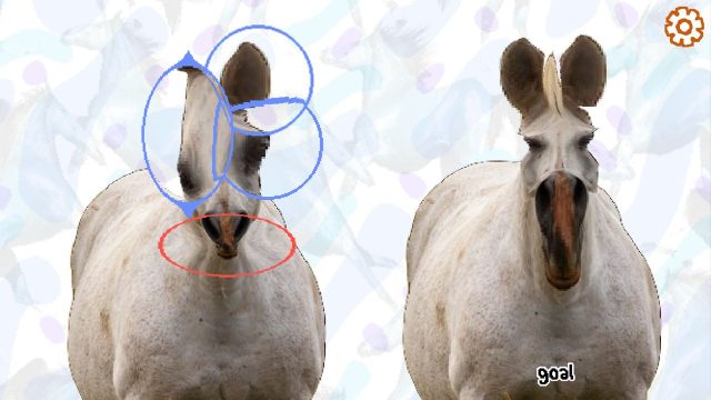The Ultimate Guide to Downloading Horse Magnifier: A Unique Puzzle Adventure