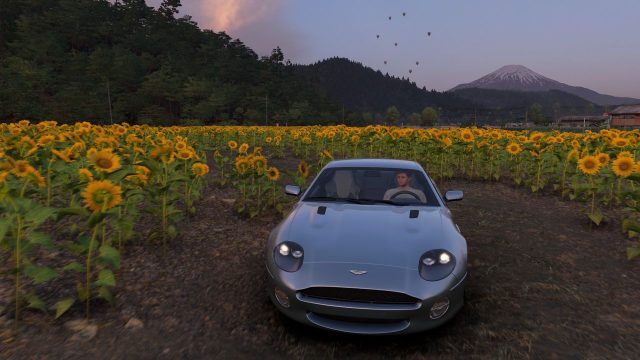 Exploring Hokuryu Sunflower Farm in Forza Horizon 6